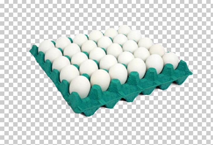 Scrambled Eggs Chicken Quail Eggs MG OVOS PNG, Clipart, Animals, Calcium, Chicken, Dough, Egg Free PNG Download