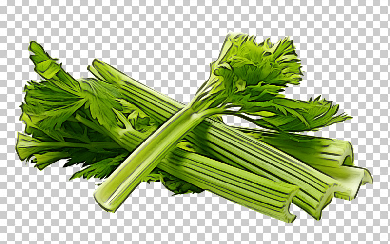 Parsley PNG, Clipart, Parsley, Rapini, Spinach Free PNG Download