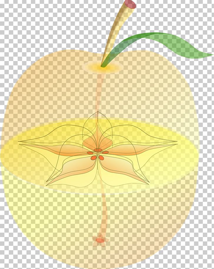Apple PNG, Clipart, Anatomy, Apple, Commodity, Computer Icons, Food Free PNG Download