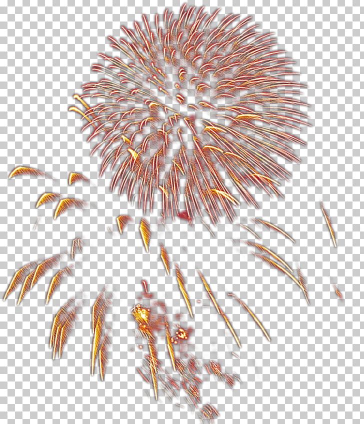 Fireworks Drawing Gratis PNG, Clipart, Blooming, Christmas Lights, Closeup, Color, Download Free PNG Download
