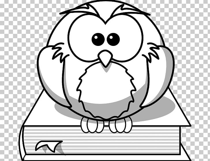 Owl Bird Drawing Cartoon PNG, Clipart, Animals, Barn Owl, Barred Owl, Bird, Black Free PNG Download
