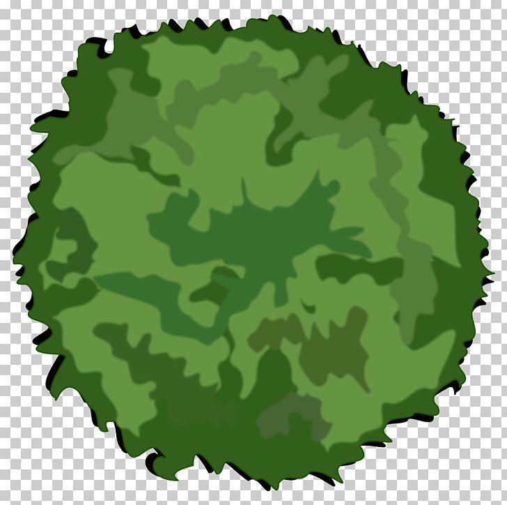 Tree Shrub PNG, Clipart, Arecaceae, Camouflage, Circle, Grass, Green Free PNG Download