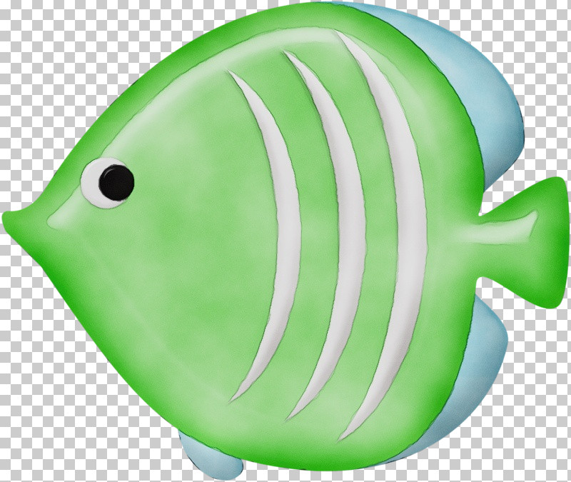 Fish Green Plastic Science Biology PNG, Clipart, Biology, Fish, Green, Paint, Plastic Free PNG Download