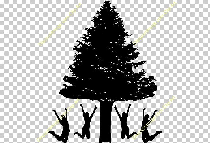 Christmas Tree Spruce Fir Christmas Ornament Christmas Day PNG, Clipart, Black, Black And White, Branch, Christmas, Christmas Day Free PNG Download