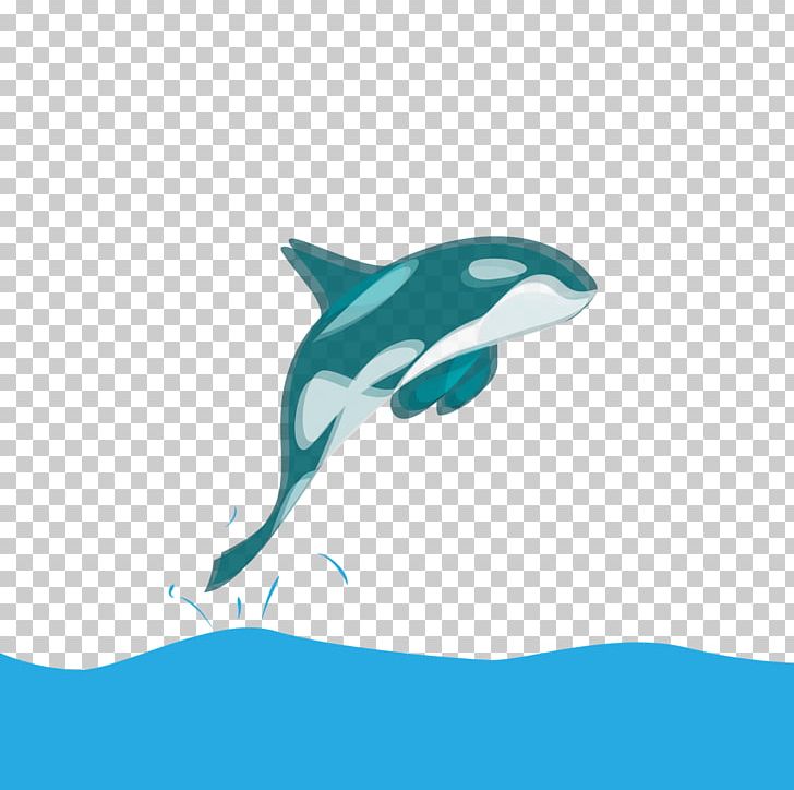 Common Bottlenose Dolphin Tucuxi Shark Desktop PNG, Clipart, Animals, Aqua, Azure, Biology, Blue Free PNG Download