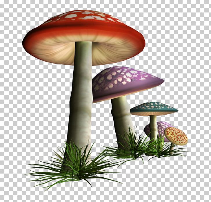 Common Mushroom Fungus PNG, Clipart, Autumn, Clip Art, Common Mushroom, Coreldraw, Edible Mushroom Free PNG Download
