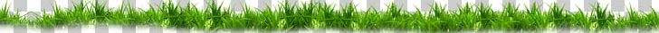 Green PNG, Clipart, Artificial Grass, Cartoon Grass, Creative Grass, Grass, Grasses Free PNG Download