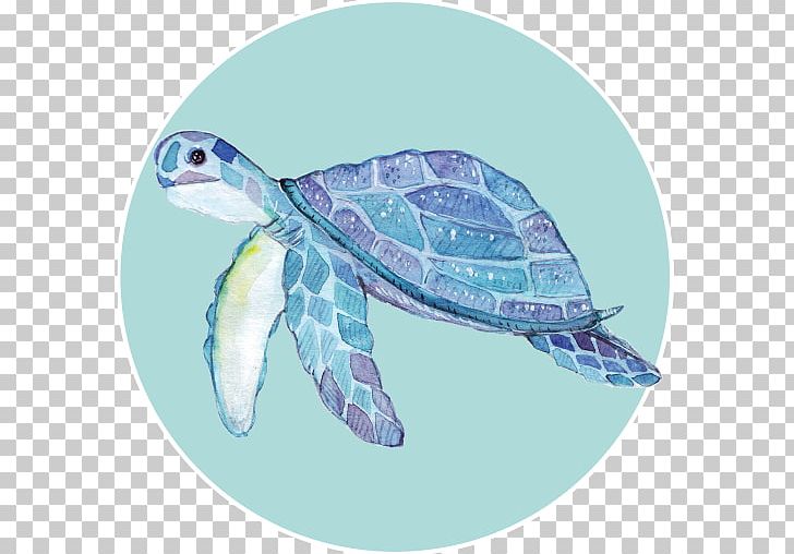 Loggerhead Sea Turtle Turtle Shell PNG, Clipart, Animal, Animals, Aquamarine, Art, Graphic Design Free PNG Download