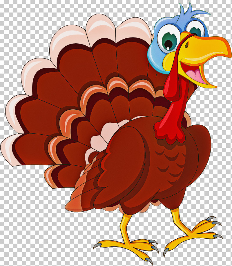 Thanksgiving PNG, Clipart, Beak, Bird, Cartoon, Chicken, Flightless Bird Free PNG Download