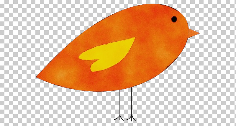 Birds Beak Water Bird Fish Science PNG, Clipart, Beak, Biology, Birds, Fish, Paint Free PNG Download