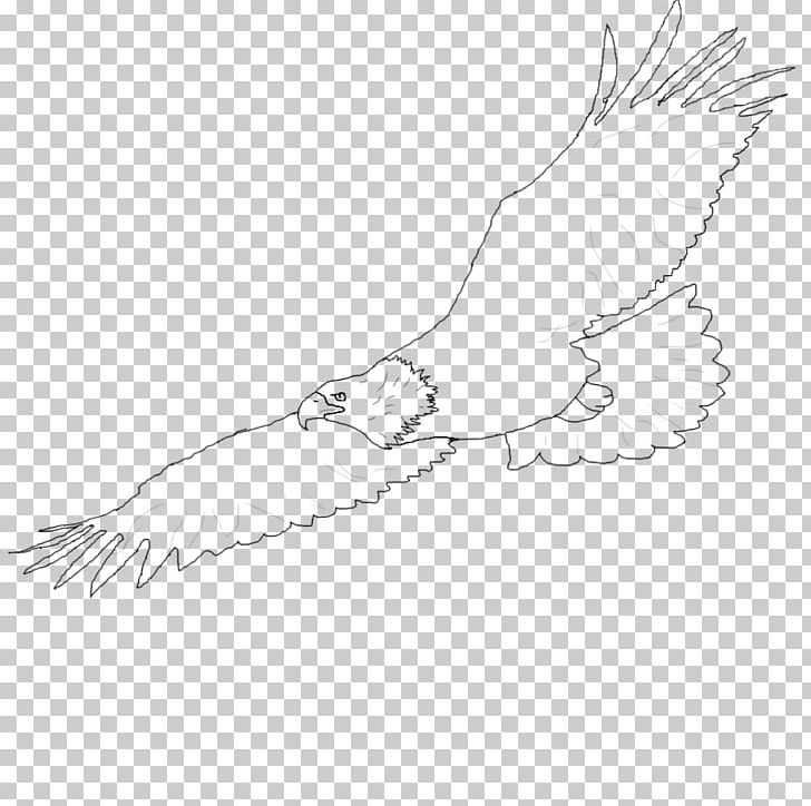 Drawing PNG, Clipart, Angle, Animals, Arm, Art, Artwork Free PNG Download