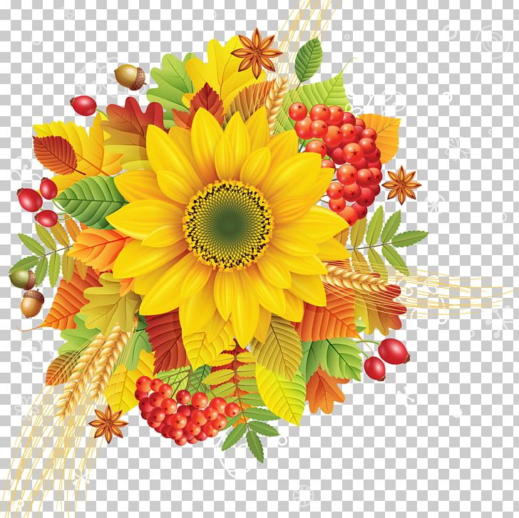 Drawing PNG, Clipart, Artificial Flower, Autumn, Chrysanths, Cut Flowers, Daisy Family Free PNG Download