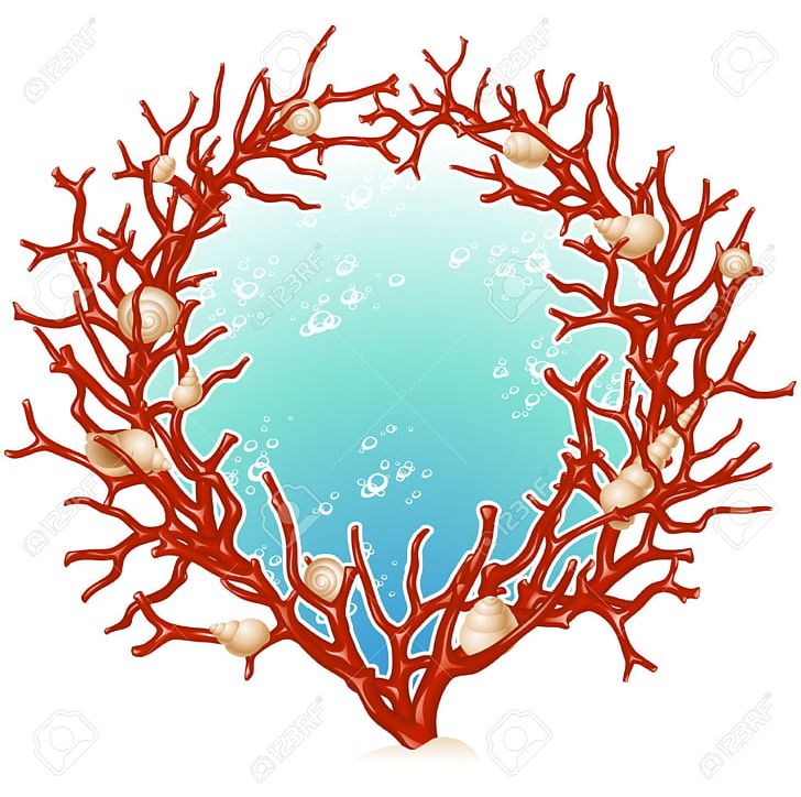 Red Coral Frames PNG, Clipart, Antler, Artwork, Branch, Circle, Coral Free PNG Download