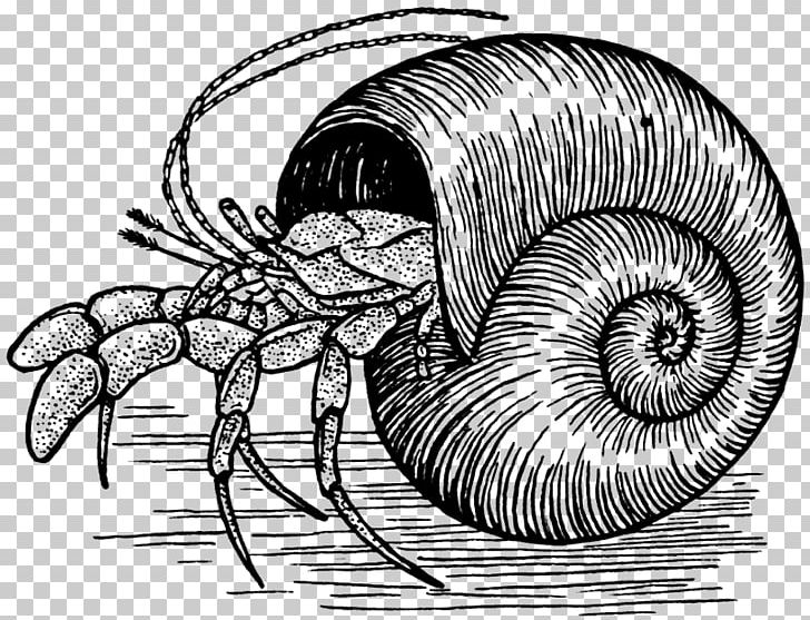 A House For Hermit Crab Drawing Sketch PNG, Clipart, Animals, Aquatic, Arthropod, Black And White, Cartoon Free PNG Download