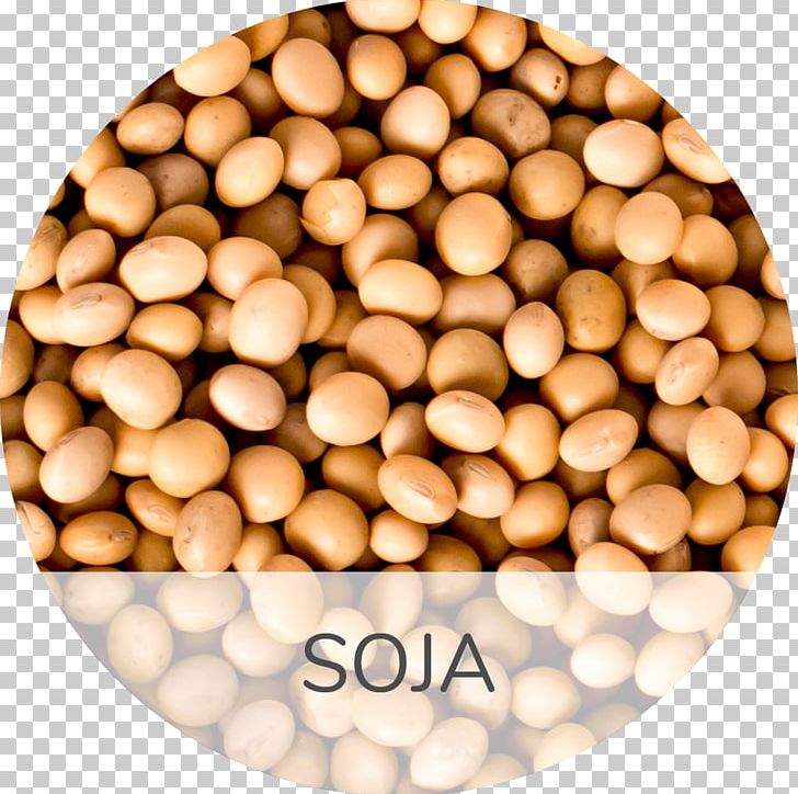 Soybean Muscle Disease Business Food PNG, Clipart, Bean, Blood Pressure, Business, Commodity, Disease Free PNG Download