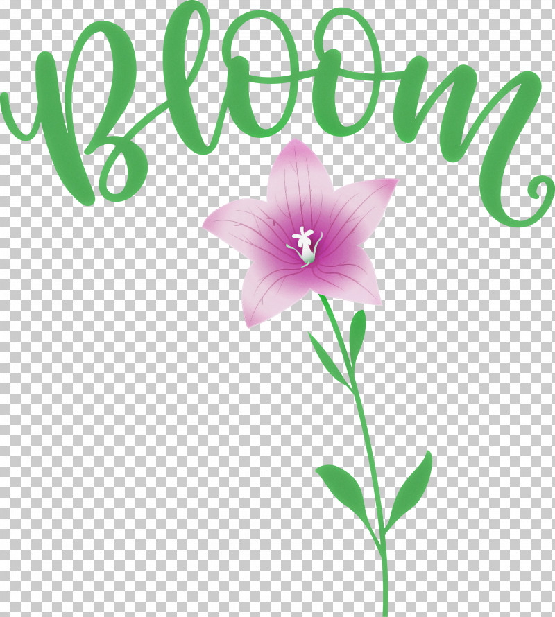 Bloom Spring Flower PNG, Clipart, Bloom, Cut Flowers, Floral Design, Flower, Herbaceous Plant Free PNG Download