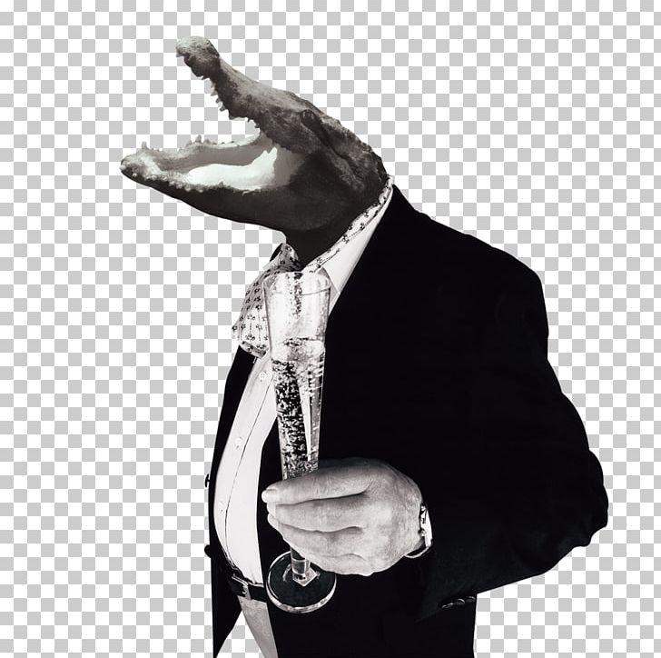 Computer File PNG, Clipart, Adobe Illustrator, Animals, Avatar, Black And White, Business Man Free PNG Download