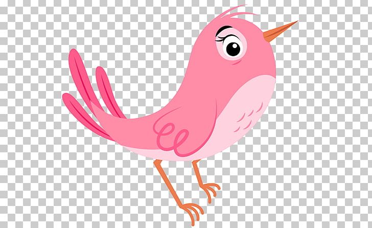 Cygnini Goose Illustration Duck PNG, Clipart, Art, Beak, Bird, Character, Chicken Free PNG Download