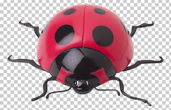 Insect Ladybird Coccinella Septempunctata PNG, Clipart, Animal, Arthropod, Beetle, Bug, Child Free PNG Download