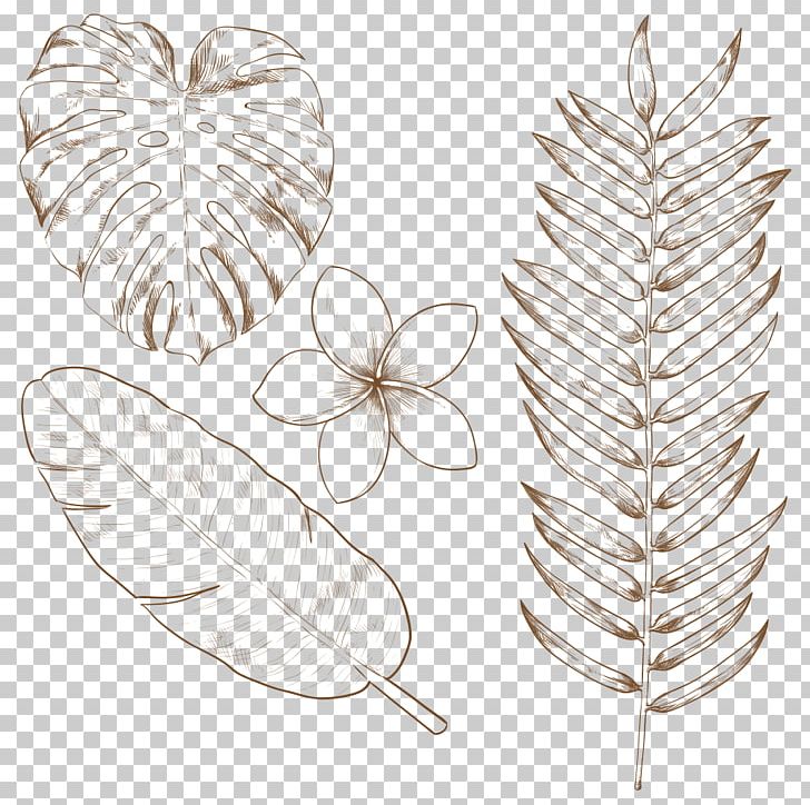 Tropics Drawing Leaf PNG, Clipart, Elements, Encapsulated Postscript, Feather, Flower, Flowers Free PNG Download
