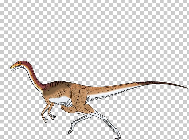 ARK: Survival Evolved Gallimimus Velociraptor Tyrannosaurus Dilophosaurus PNG, Clipart, Apatosaurus, Ark Survival Evolved, Dilophosaurus, Dinosaur, Drawing Free PNG Download