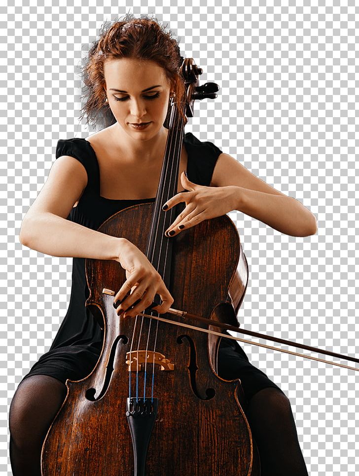 Bass Violin Double Bass Violone Viola Cello PNG, Clipart, Bass Violin, Bowed String Instrument, Cellist, Cello, Classical Music Free PNG Download