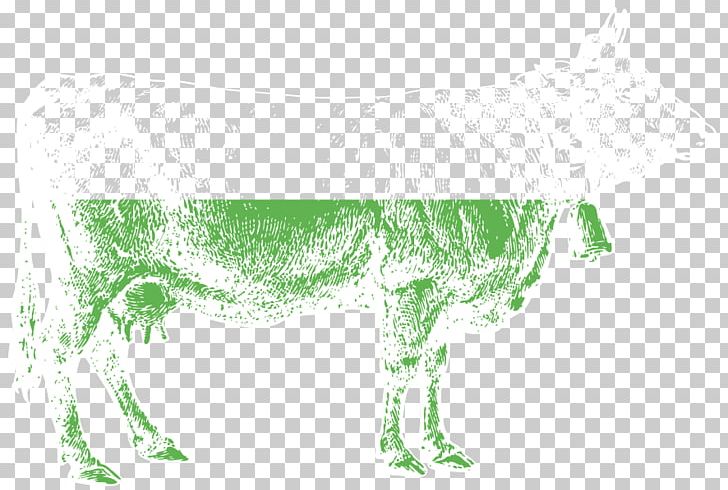 Canidae Grasses Dog Green Meadow PNG, Clipart, Animals, Canidae, Carnivoran, Dog, Dog Like Mammal Free PNG Download