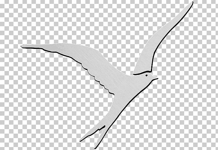 European Herring Gull Gulls Cygnini Goose Duck PNG, Clipart, American Herring Gull, Anatidae, Animals, Beak, Bird Free PNG Download