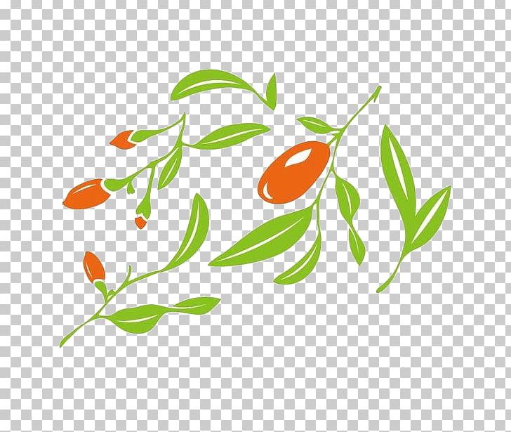 Jujube Illustration PNG, Clipart, Aquatic Plant, Branch, Date, Dates, Flora Free PNG Download