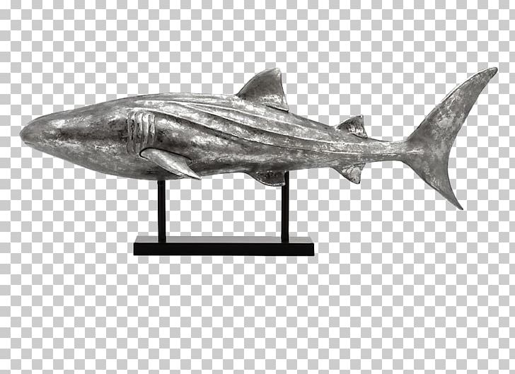 Requiem Shark Whale Shark Great White Shark Metal PNG, Clipart, Animals, Black And White, Blacktip Reef Shark, Blacktip Shark, Blue Shark Free PNG Download
