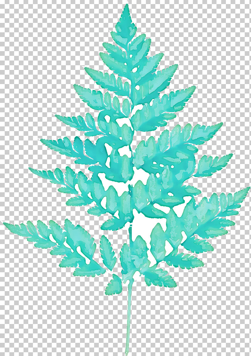 Fern PNG, Clipart, Black And White, Drawing, Fern, Leaf, Pine Free PNG Download