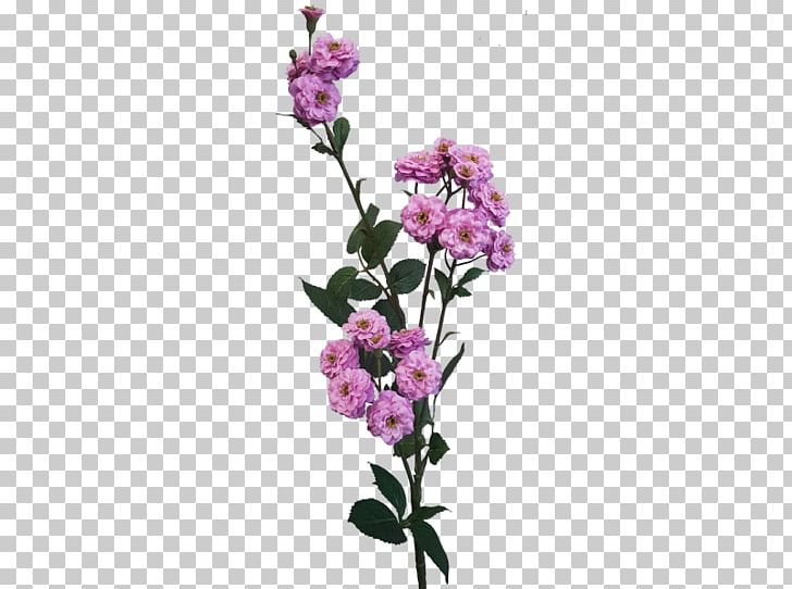 Cut Flowers Rose Flower Bouquet Plant Stem Pink PNG, Clipart, Artificial Flower, Artificial Flowers, Branch, Cut Flowers, David Ch Austin Free PNG Download