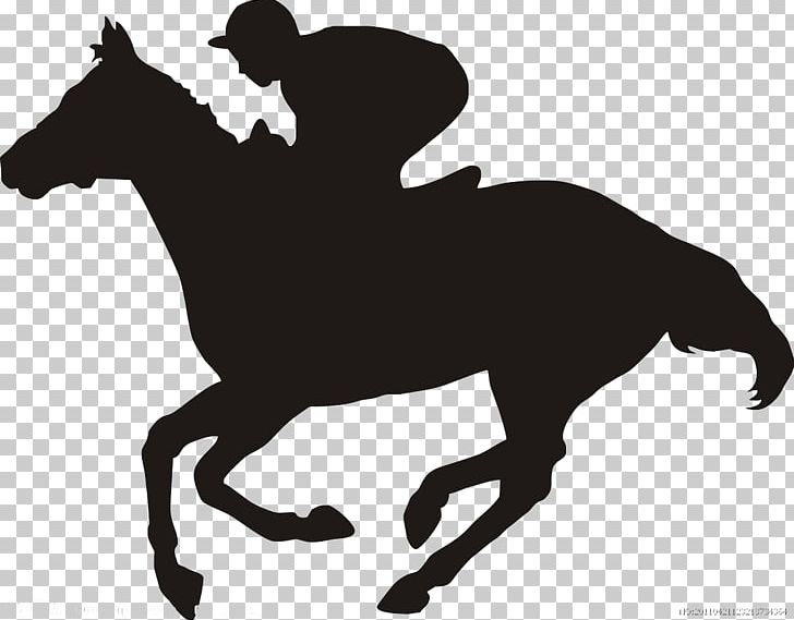 Lennox Head Ballina Jockey Club Richmond River Slipway Hotel PNG, Clipart, Ballina Rsl, Ballina Shire, Black And White, Horse, Horse Supplies Free PNG Download