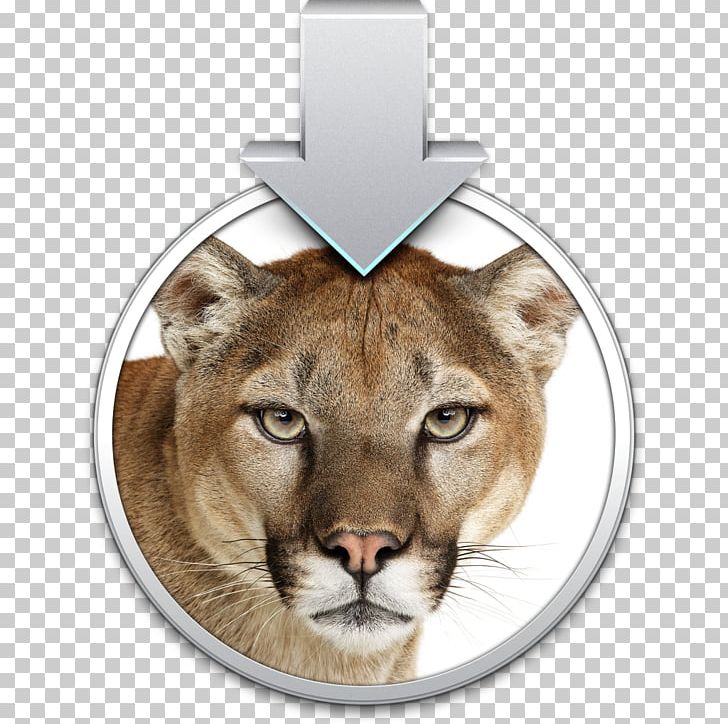 OS X Mountain Lion Mac OS X Lion MacOS Installation PNG, Clipart, Animals, Apple, Big Cats, Carnivoran, Cat Like Mammal Free PNG Download