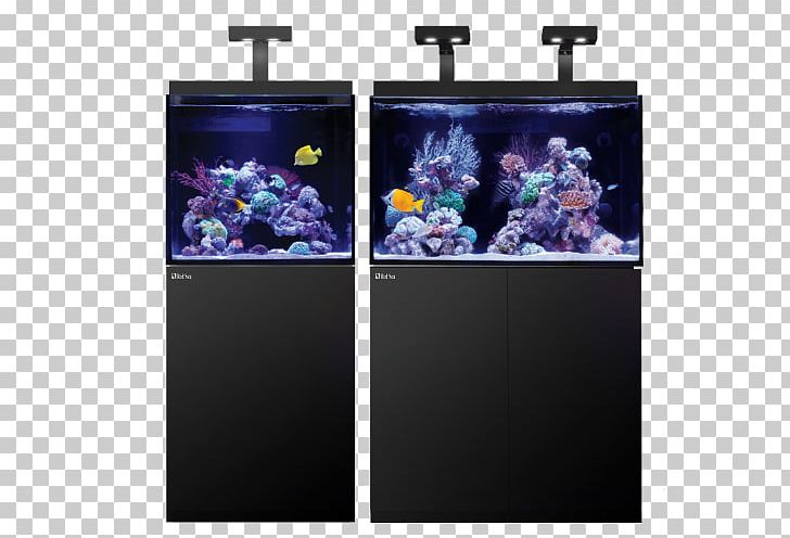 Red Sea Reef Aquarium Light-emitting Diode Coral Reef PNG, Clipart, Aquarium, Aquarium Lighting, Coral, Coral Reef, Display Device Free PNG Download