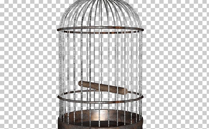 Birdcage Parrot Cockatiel Domestic Canary PNG, Clipart, Animals, Aviary, Bird, Birdcage, Bird Feeders Free PNG Download