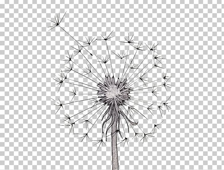 Flower Drawings Watercolor Painting Line Art PNG, Clipart, Art Museum, Black And White, Circle, Cut Flowers, Daisy Free PNG Download