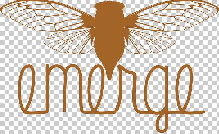 Insect Cicadas PNG, Clipart, Animals, Art, Butterfly, Cicadas, Drawing Free PNG Download