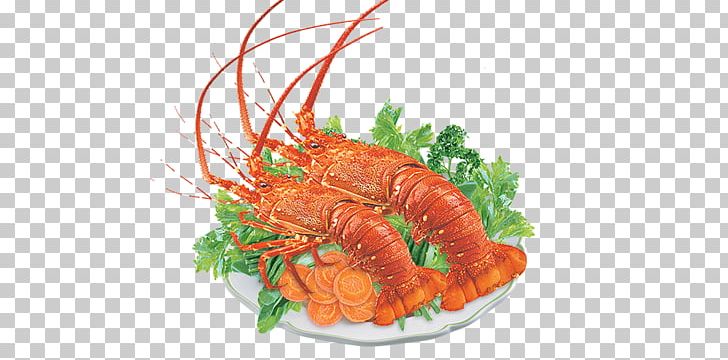 Lobster Seafood Sashimi Crab Crayfish As Food PNG, Clipart, Animals, Animal Source Foods, Cartoon Lobster, Cuisine, Dish Free PNG Download
