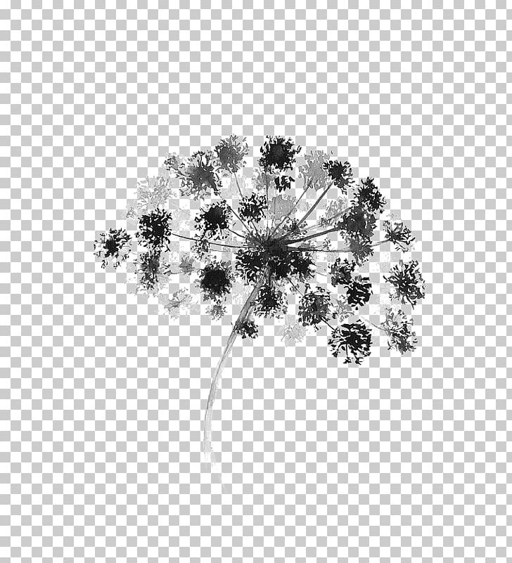 Black And White Watercolor Painting Flower Graphic Design PNG, Clipart, Branch, Color, Dandelion, Decorated, Deductible Free PNG Download