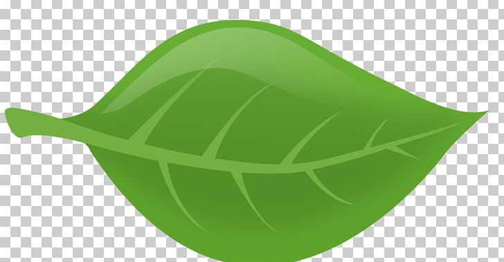 Leaf PNG, Clipart, Grass, Green, Leaf, Plant Free PNG Download