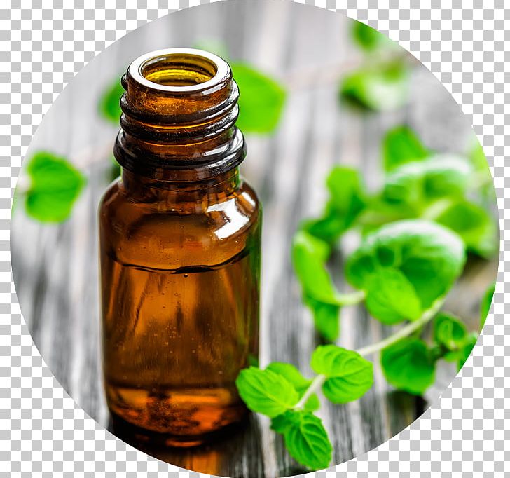 Peppermint Mentha Spicata Essential Oil Aromatherapy PNG, Clipart, Aromatherapy, Avocado Oil, Black Pepper, Borage, Borage Seed Oil Free PNG Download