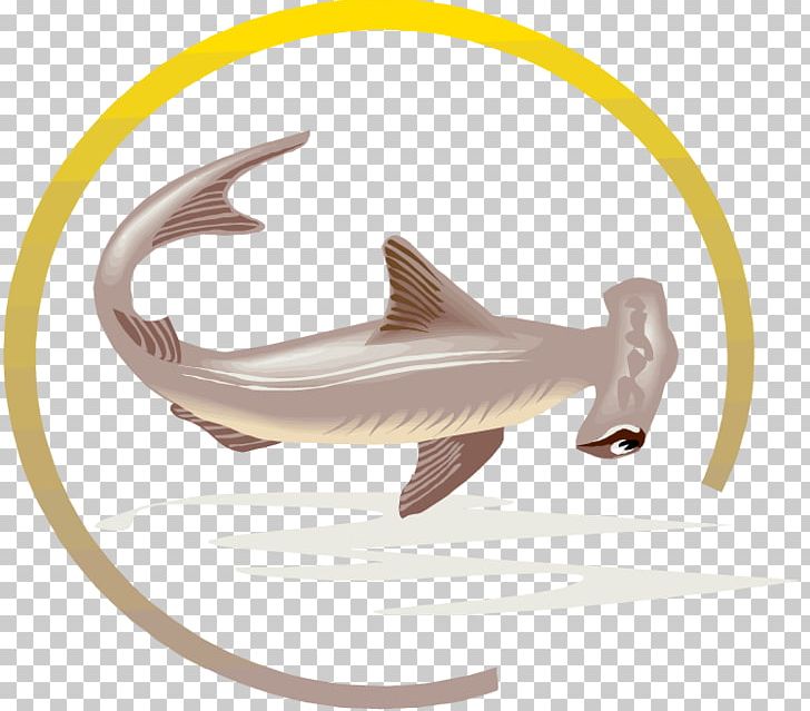 Hammerhead Shark Tiger Shark Fish Great White Shark PNG, Clipart, Animal, Animals, Apex Predator, Bumper Sticker, Fish Free PNG Download