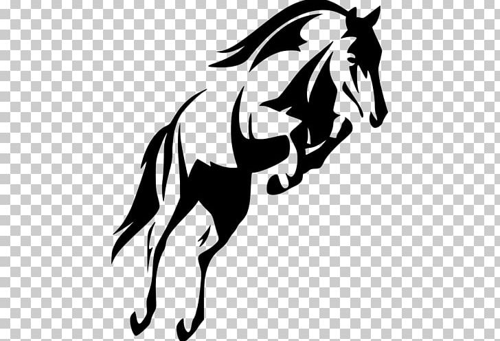 Horse Show Jumping Stallion PNG, Clipart, Animals, Carnivoran, Dog Like Mammal, Fictional Character, Horse Free PNG Download