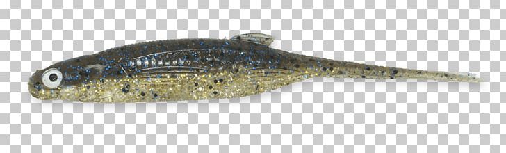Perch Bait Oily Fish PNG, Clipart, Bait, Bream, Fish, Oily Fish, Others Free PNG Download