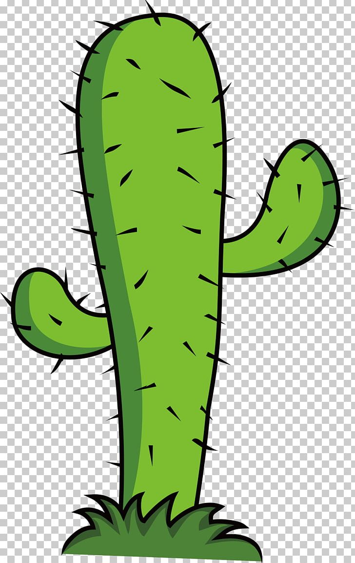 Cactaceae PNG, Clipart, Cactus, Cartoon, Drawing, Euclidean Vector, Flower Free PNG Download