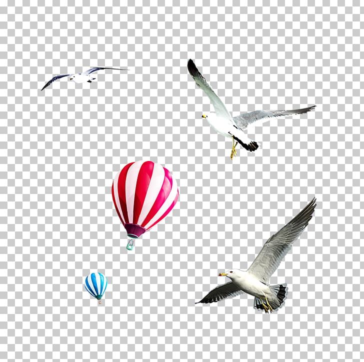 Flight Bird Airplane Sky Balloon PNG, Clipart, Aerospace Engineering, Air, Aircraft, Airplane, Air Travel Free PNG Download