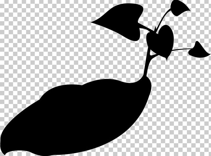 Duck Black Silhouette Line PNG, Clipart, Animals, Artwork, Beak, Bird, Black Free PNG Download