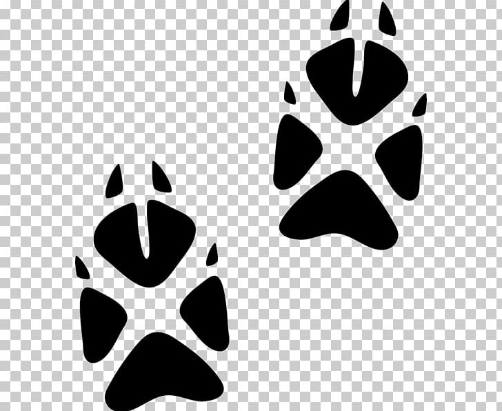 Paw Animal Track Fox Cat PNG, Clipart, Animal, Animals, Animal Track, Black And White, Cat Free PNG Download
