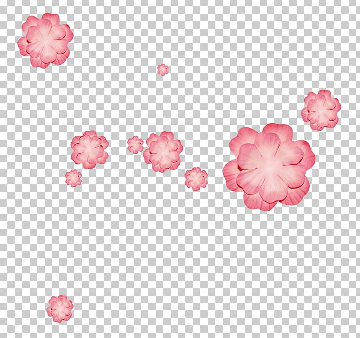Chrysanthemum Indicum Garden Roses PNG, Clipart, Blossom, Body Jewelry, Cartoon, Cherry Blossom, Chrysanthemum Free PNG Download